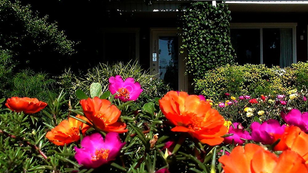 Murray Inn And Art Gallery Esterno foto